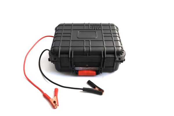 Automatic battery charger